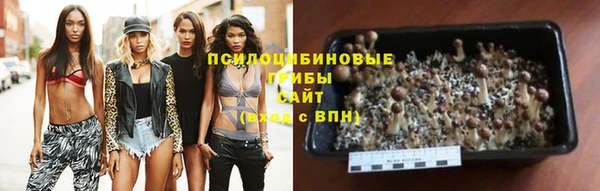стаф Алексеевка
