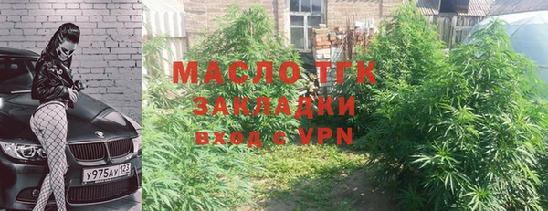 PSILOCYBIN Алзамай