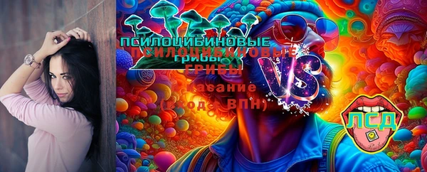 PSILOCYBIN Алзамай