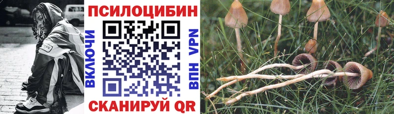 Псилоцибиновые грибы Cubensis  ОМГ ОМГ   площадка наркотические препараты  Пенза 